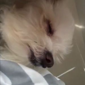 Meet your Posher, Sabrina